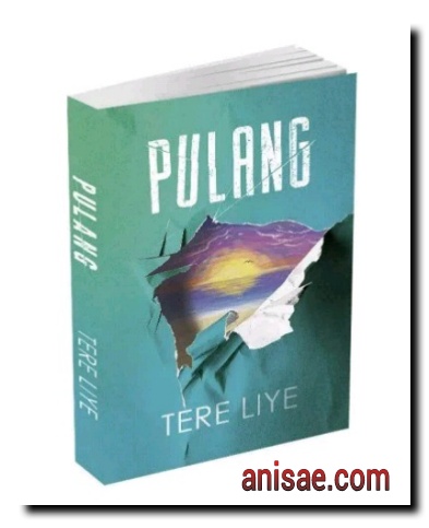 Resensi Novel Pulang Karya Tere Liye Anisa Ae